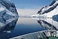 Agencia de viajes especializada en cruceros en Barco por el Antártico. Conoceremos la fauna polar: El Pingüino Emperador