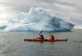 Petreles y albatros serán nuestros compañeros, y nos ayudarán a averiguar si hemos aprendido algo de nuestro paso por la Antártida.