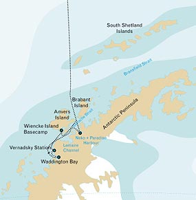 Cruzando la convergencia Antártica, llegaremos a la zona circum-Antártica. En esta área, podremos tener la oportunidad de ver Albatros Viajero, también conocido como Albatros Errante