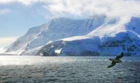 Visite el Polo Sur y navegue por la Antártida con tu agencia de viajes Señores Pasajeros.