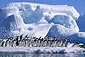 Agencia de viajes Señores Pasajeros: especialistas en cruceros polares por el Antártico
