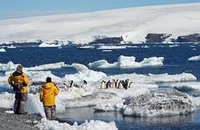 Con permiso de las autoridades de la base, podremos ir a Punta Cormorán, donde habita una colonia de pingüinos de Adelia 