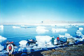 La expedición termina en Reykjavik, la capital del tercer país ártico que visitaremos, Islandia.